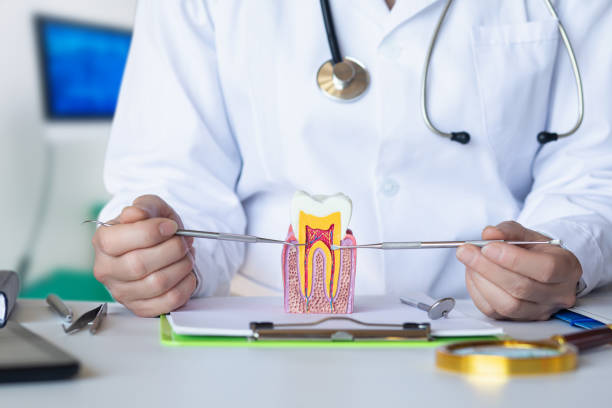 Best Emergency Wisdom Tooth Extraction in Detroit Beach, MI